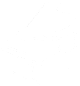 gratis pianoles proefles pianolessen piano leren spelen beginners gevorderden online Cor Bakker